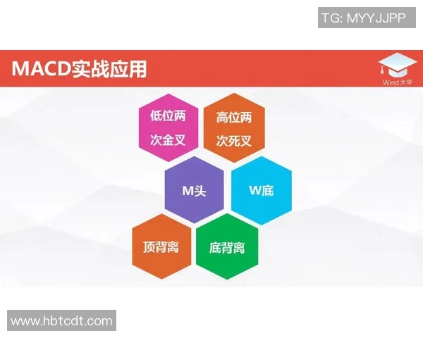 深入分析上海羽毛球队防反战术的独特魅力与实战应用